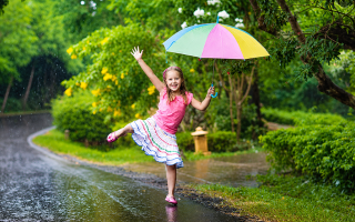 Rain and up to +26 degrees: weather forecast in Ukraine for June 17