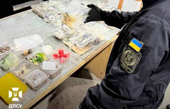 «Зоопарк в багажнике» — на границе с Польшей раскрыли контрабанду 77 экзотических животных