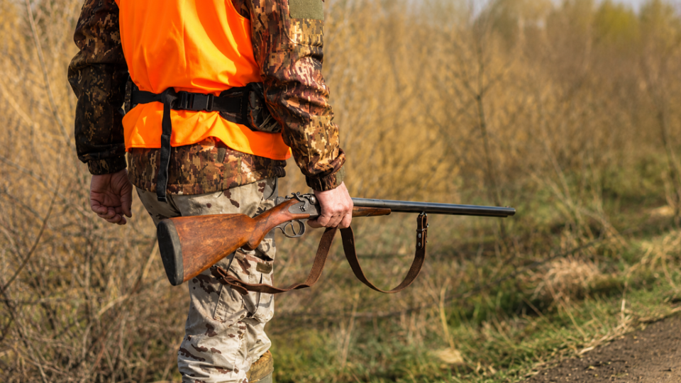 Hunters to the front, poison banned: a new animal protection plan has appeared