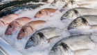 Как выбрать свежую рыбу — ключевые признаки качества и порчи продукта