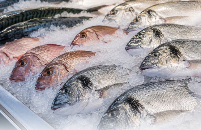 Как выбрать свежую рыбу — ключевые признаки качества и порчи продукта