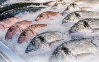 Як обрати свіжу рибу – ключові ознаки якості та псування продукту