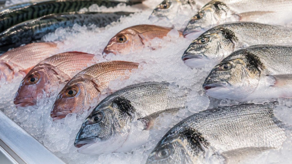 Как выбрать свежую рыбу — ключевые признаки качества и порчи продукта