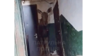 В Киеве вывели из подъезда многоэтажки лося — в полиции показали, как это было