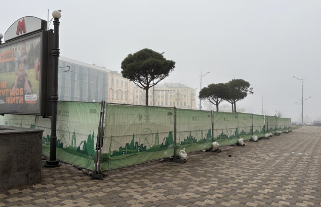 In Kharkiv, the prosecutor's office launched an investigation after municipal workers bought four pines for UAH 4 million