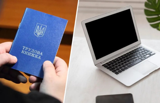 Как просмотреть свою электронную трудовую книжку