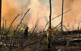 Стало відомо, чи перевищено радіаційний фон через пожежі у Чорнобильській зоні