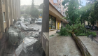 Потужна негода накрила Львів: ураганний вітер валить дерева, зриває дахи та затоплює вулиці — відео