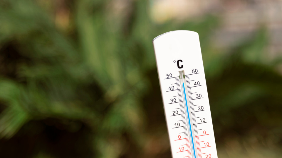 Heat up to +41.6° and precipitation deficit: meteorologists provided an analysis of the weather in July