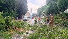 Шквальный ветер во Львове перебросил лавку через многоэтажку, видео