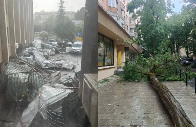 Мощная непогода накрыла Львов: ураганный ветер валит деревья, срывает крыши и затапливает улицы — видео