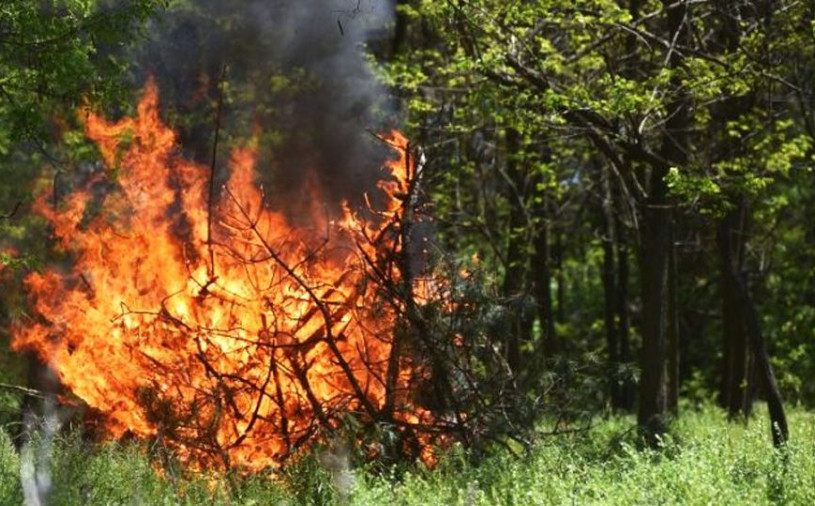 Residents of Kyiv region warned about fire hazard
