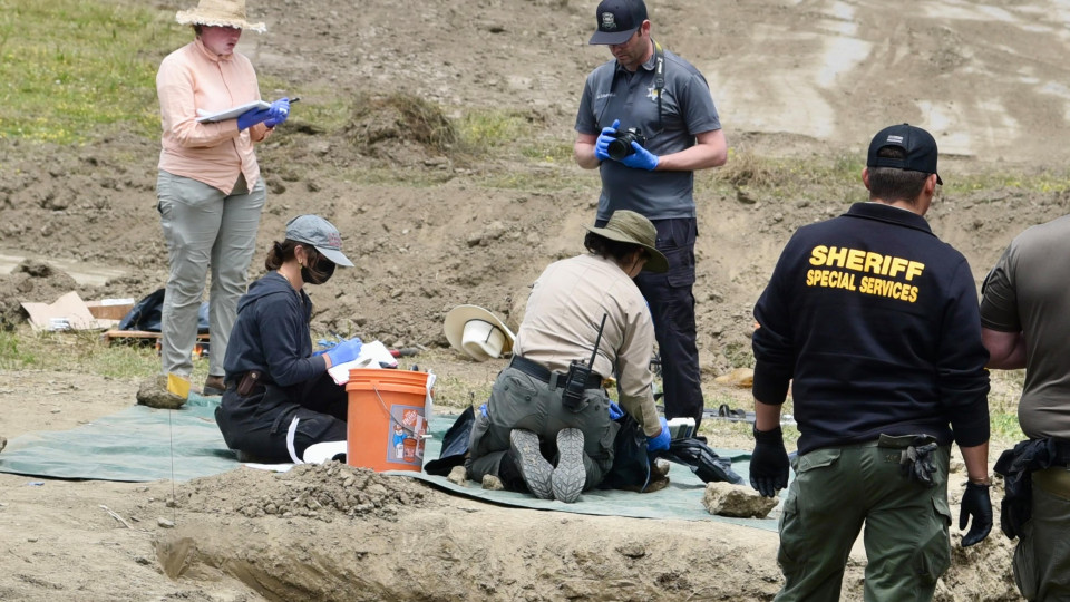 117 Dead Dogs Found at California Animal Shelter: Many Had Bullet Fragments