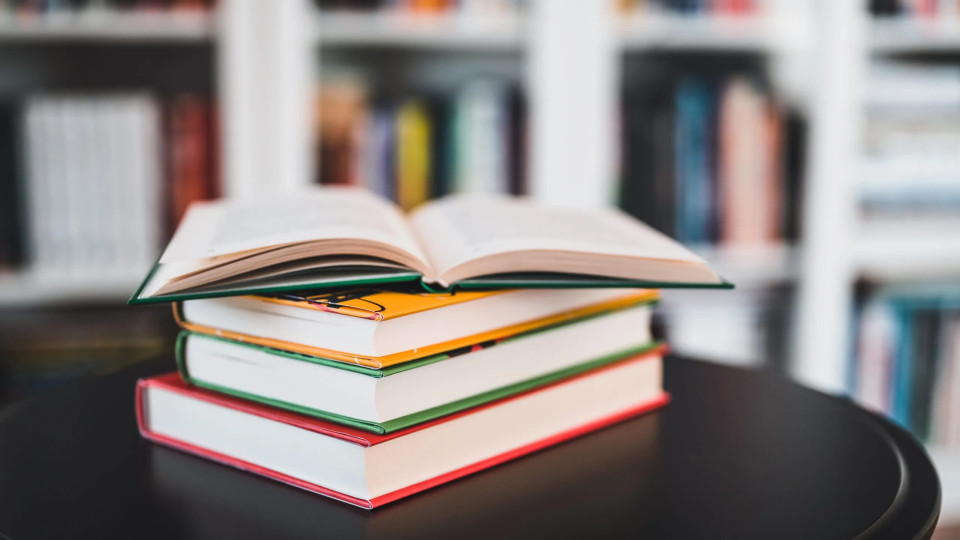 The Ministry of Education and Science approved new criteria for identifying critically important institutions in the field of education and science