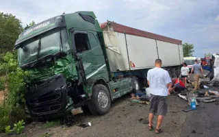 Смертельна ДТП на Миколаївщині: поліцейські оголосили підозру водію