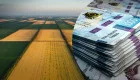 Земельный пай и субсидия: в каких случаях могут уменьшить помощь
