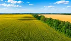 The Supreme Court explained when a land share can be obtained even after 30 years