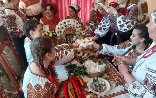 Уникальный свадебный перьевой венок из Прикарпатья внесен в список культурного наследия: чем он особенный