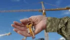 З 17 липня запускають розширену програму «єОселю» під 3% для ветеранів — хто та як може подати заявку