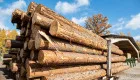 Прямі договори на продаж деревини можуть скасувати: як хочуть змінити правила роботи ринку