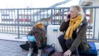 ЕС продлил временную защиту украинцев до 2028 года, но есть условие