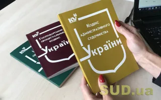 Конституционный Суд рассматривает дело о праве на кассационное обжалование в административных судах