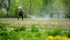 Як не підчепити кліща у місті: найнебезпечніші місця та прості правила захисту