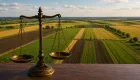 Верховный Суд определил, в каких случаях применяется исковая давность в спорах о праве на земельный пай