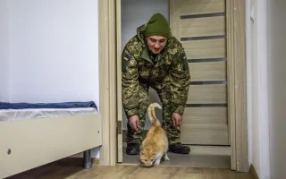 Military housing will be prohibited from alienation until the end of the war and six months after: new duties for notaries and executors