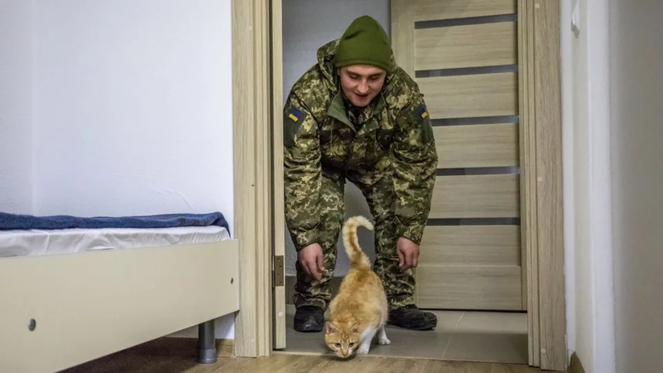 Жилье военных запретят отчуждать до конца войны и полгода после: новые обязанности нотариусов и исполнителей