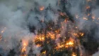 Дональд Трамп обвинил Канаду в лесных пожарах и обещает наказать