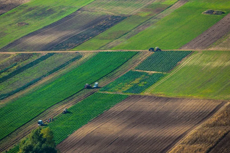 The Supreme Court Cancelled Excessive Land Arrest: Injunction Must Be Proportionate
