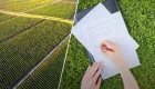 ВС объяснил, сколько голосов депутатов необходимо для безвозмездной передачи земли в собственность