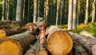 Докази з кримінального провадження можна використовувати у господарських спорах – ВС