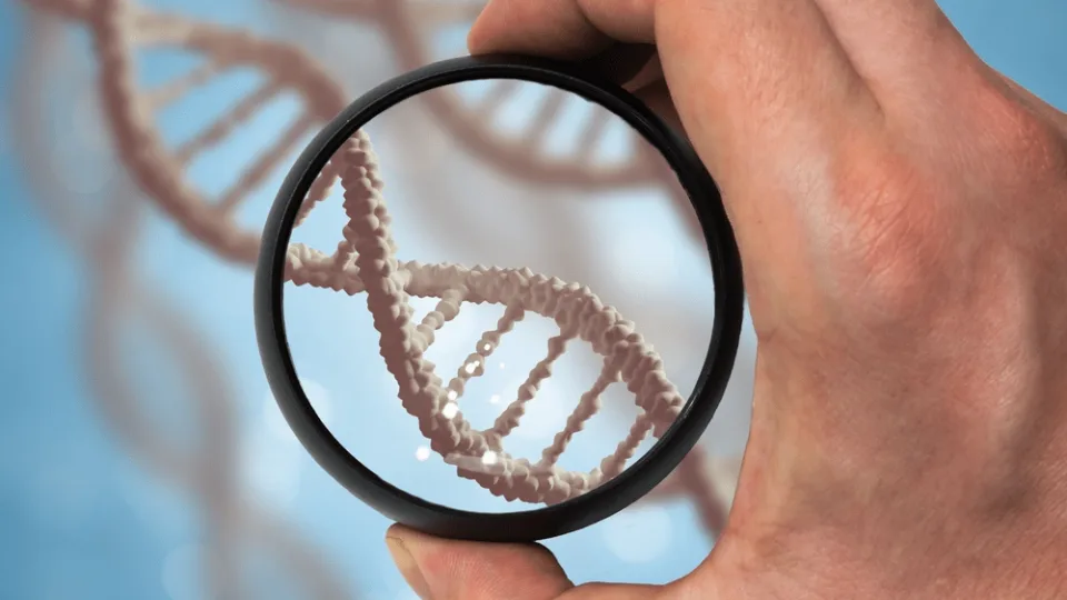 DNA Test After the Birth of a Child: What Changes Are Proposed in the Rules for Establishing Paternity
