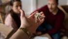 «єОселя» для ВПО: в Украине изменили условия ипотеки и упростили оформление
