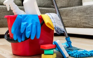 Няни, домашние помощники, водители и садовники: что работодатели обязаны обеспечить по закону