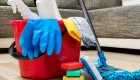 Nannies, Domestic Helpers, Drivers, and Gardeners: What Employers Are Legally Required to Provide