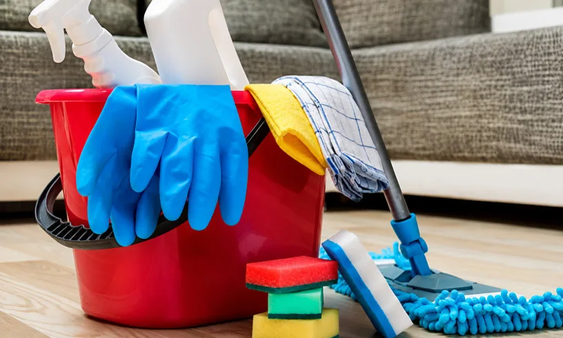 Nannies, Domestic Helpers, Drivers, and Gardeners: What Employers Are Legally Required to Provide