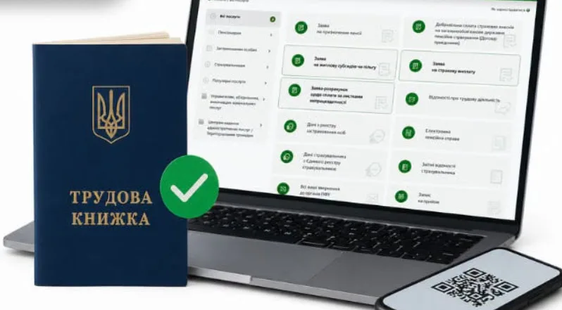 What to do if a person did not manage to submit data to the Electronic Employment Record Book by June 10