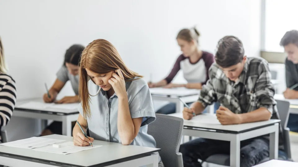 Ukraine will launch a new format of the State Final Examination (DPA) for schoolchildren: what tasks will be included and who will take the exam