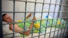 Генпрокурор Руслан Кравченко сообщил о задержании организатора выставки оружия, по которой ударили ракеты РФ