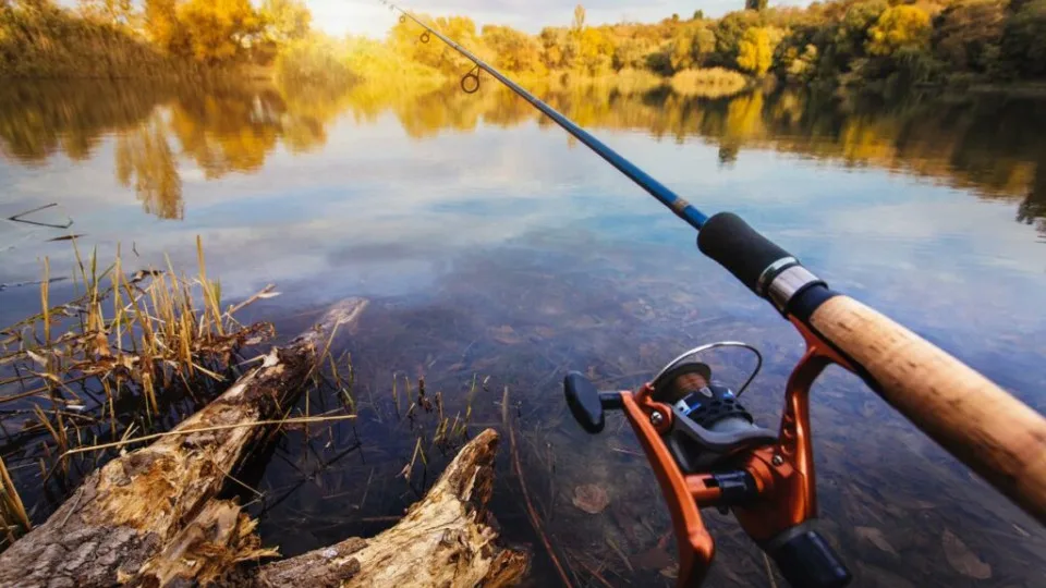 Caught This Fish – Pay Up to 7,225 Hryvnias: What Catch Is Fined in Ukraine