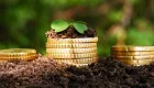 Земельный налог: какие льготы для пенсионеров действуют в 2026 году