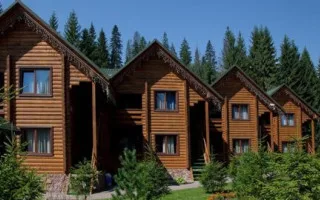Плесень, антисанитария и небезопасные условия проживания: омбудсман инициировал проверку в лагере «Артек Закарпатье»