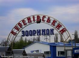 В Одессе на ходу загорелась маршрутка: люди выбирались через окна (ФОТО)