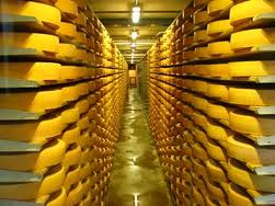 В Винницкой области на заводе обнаружили 2 тонны просроченного сыра 