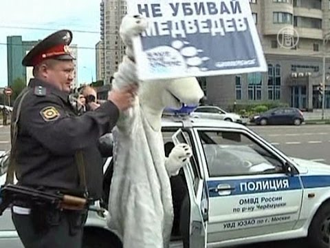 Медведей «Гринпис» арестовали у здания «Газпрома»