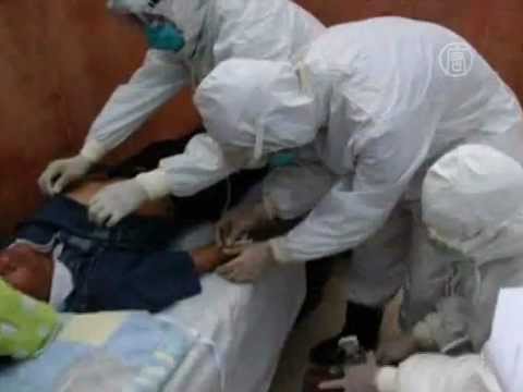 Вирусолог назвал маловероятным распространение бубонной чумы в России