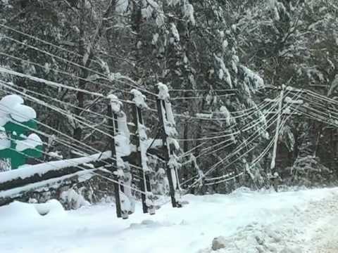 На Житомирщине - стихийное бедствие. Видео